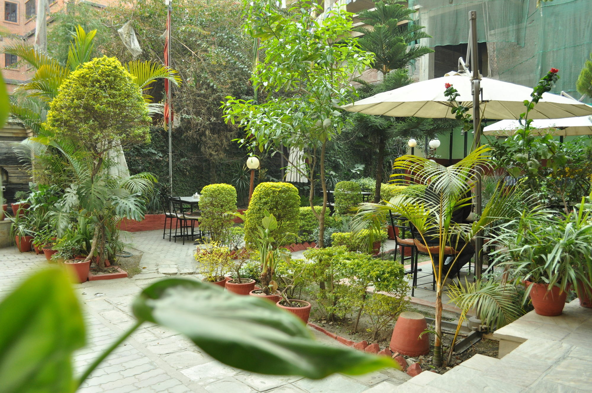Hotel Florid Катманду Экстерьер фото